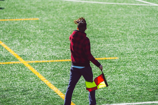 的全民偶像 的全民偶像