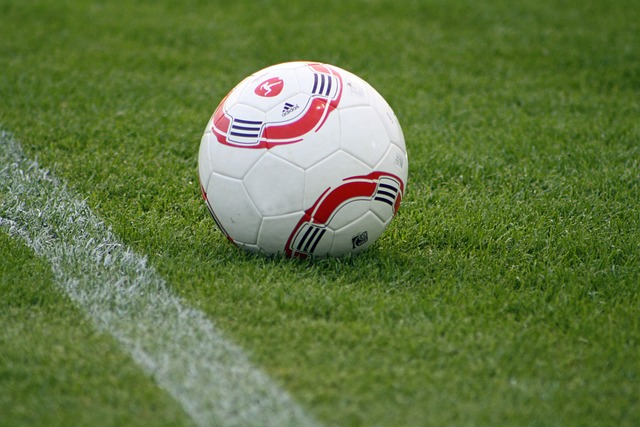 效利用了赛 效利用了赛