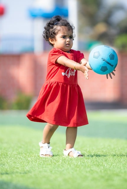 整体进步的 整体进步的