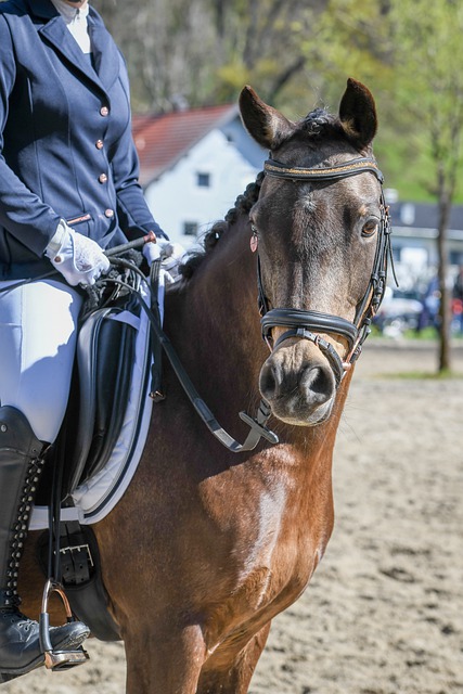 防流感的基 防流感的基