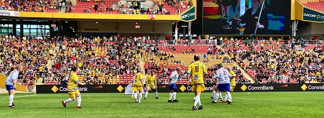 重要原因 重要原因