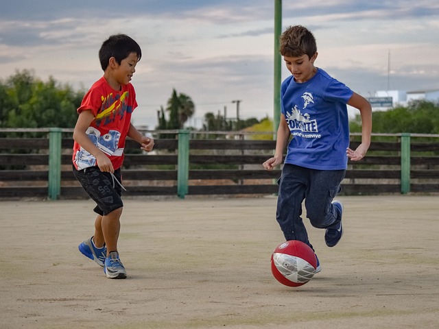 国际米兰凭 国际米兰凭