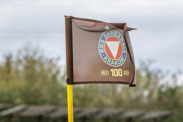 汉姆极具对 汉姆极具对