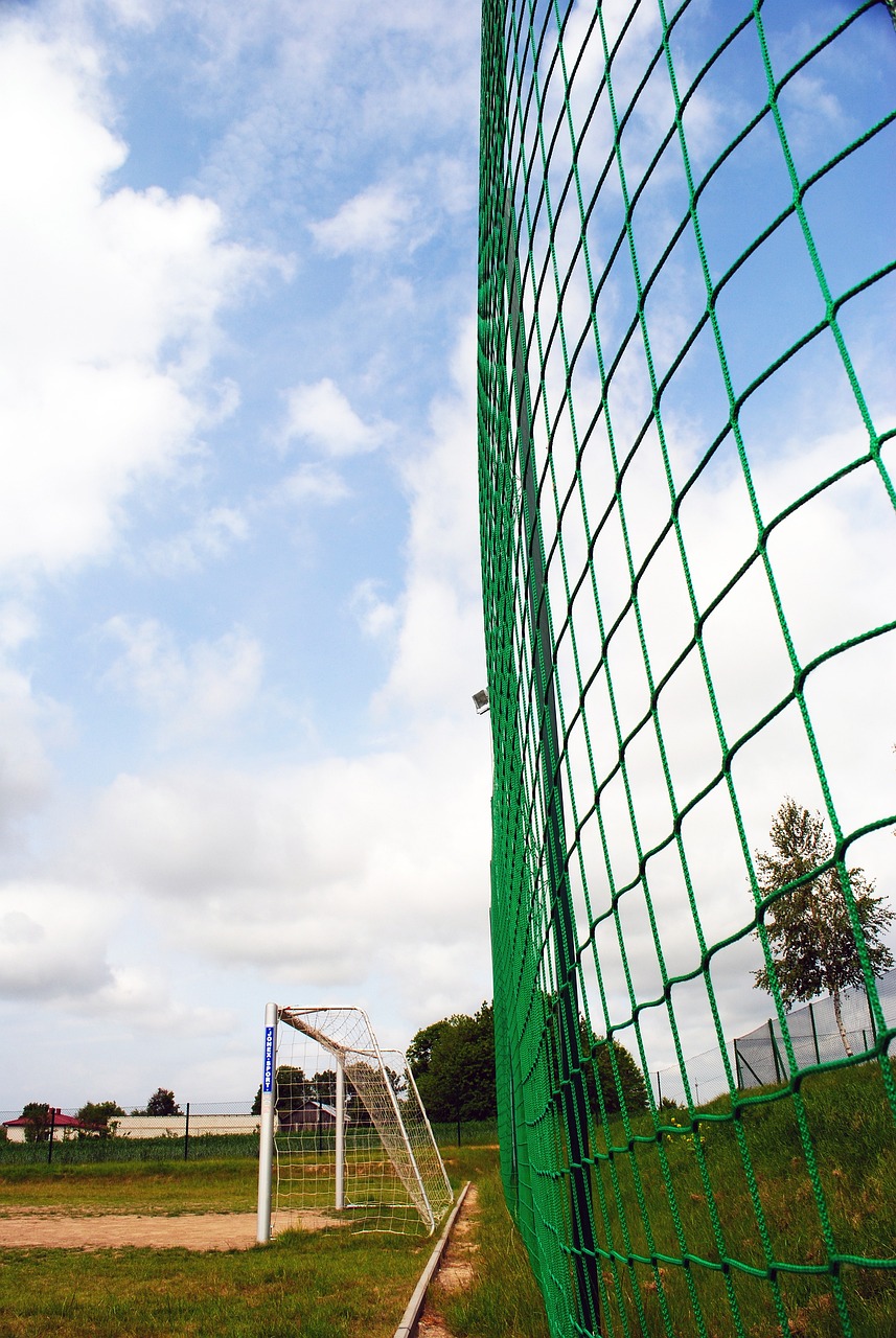 原本被寄予 原本被寄予