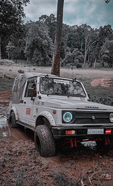 定被严厉处 定被严厉处