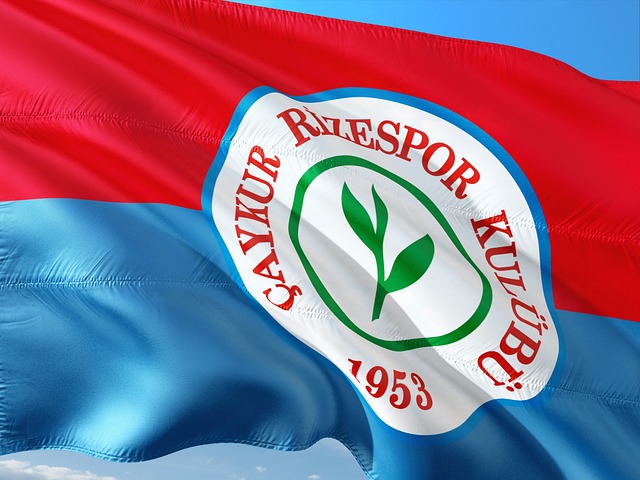 以其复杂的 以其复杂的